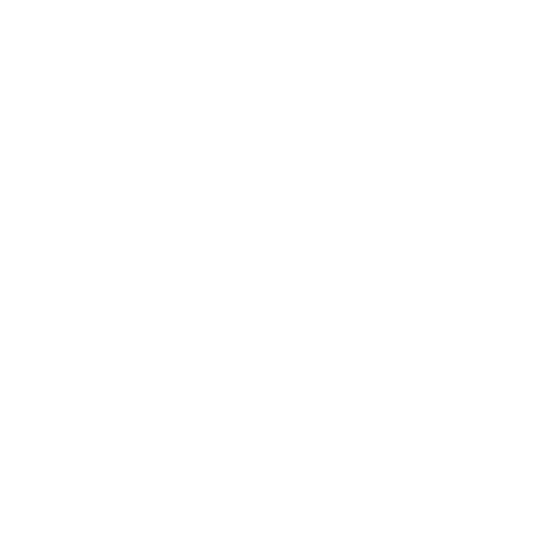 Daeng Drone logo (white)